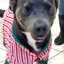 Thumbnail photo of Joseph #4