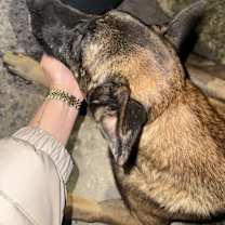 Thumbnail photo of Gavin - Located in TX #2