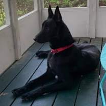 Thumbnail photo of Atlas - Located in Louisiana #1