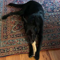 Thumbnail photo of Atlas - Located in Louisiana #2