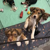 Thumbnail photo of Rosie the Riveter #4