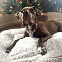 Thumbnail photo of Elizabeth #3