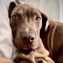 Thumbnail photo of Elizabeth #4