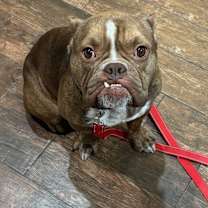 Thumbnail photo of Walter #1