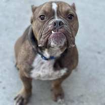 Thumbnail photo of Walter #2