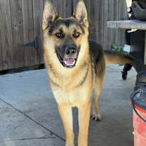 Thumbnail photo of Blue #2