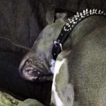 Thumbnail photo of Blue #3