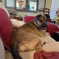 Thumbnail photo of Diamond #2