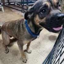 Thumbnail photo of Diamond #3