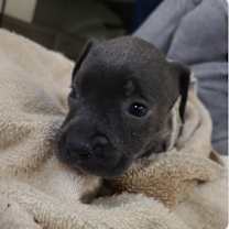 Thumbnail photo of Tot #2