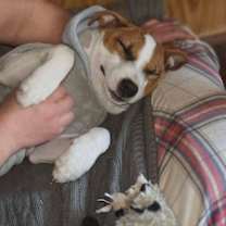 Thumbnail photo of Noelle #3