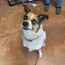 Thumbnail photo of Mickey #4