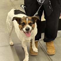 Thumbnail photo of Mickey #1