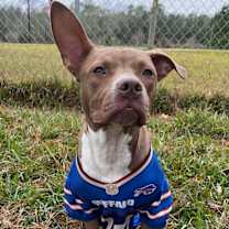 Thumbnail photo of Marshall #2