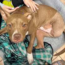 Thumbnail photo of Marshall #3