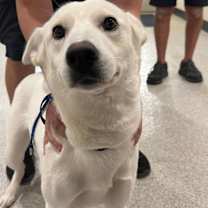 Thumbnail photo of Bunny #1