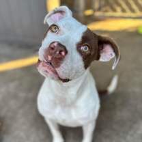 Thumbnail photo of Oonagh #1