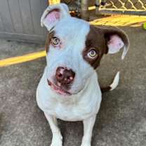 Thumbnail photo of Oonagh #3