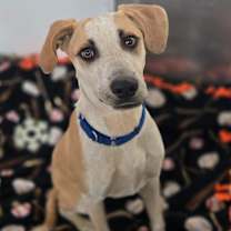 Thumbnail photo of Bernie #2