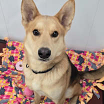 Thumbnail photo of Blake #2