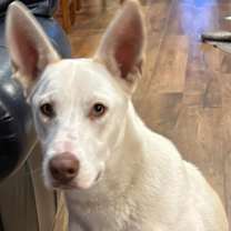 Thumbnail photo of Jonesy #1