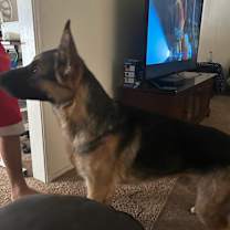 Thumbnail photo of Champ #3