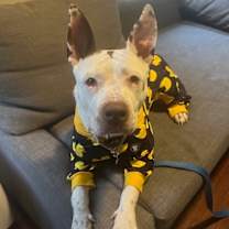 Thumbnail photo of Tessie #3