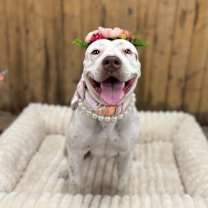 Thumbnail photo of Tessie #4