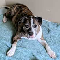 Thumbnail photo of 59658923 #1