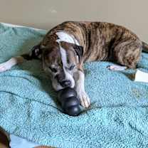 Thumbnail photo of 59658923 #2