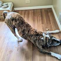 Thumbnail photo of 59658923 #3