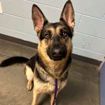 Thumbnail photo of Kawai #1