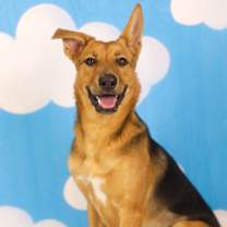 Thumbnail photo of Lilly #1