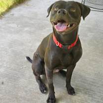 Thumbnail photo of Jag #1