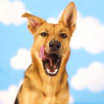 Thumbnail photo of Lilly #2