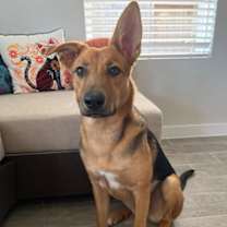 Thumbnail photo of Lilly #3