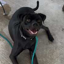 Thumbnail photo of Jag #3