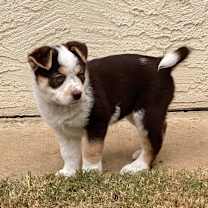 Thumbnail photo of ATHENA #1