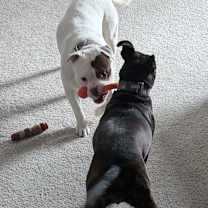 Thumbnail photo of Noah #2