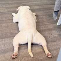 Thumbnail photo of Noah #3