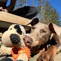 Thumbnail photo of Nova #4