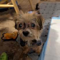 Thumbnail photo of Bless'Me #1