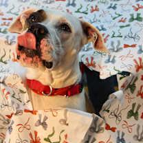 Thumbnail photo of Wilma #1