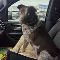 Thumbnail photo of Bear #3