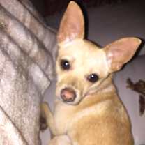 Thumbnail photo of Rita #4