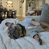 Thumbnail photo of Frank #4