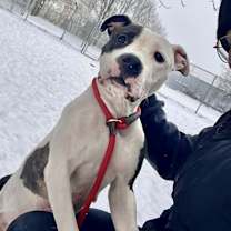 Thumbnail photo of Amara #2