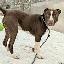 Thumbnail photo of Rocket #2