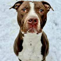 Thumbnail photo of Rocket #3