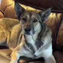 Thumbnail photo of Princess #1